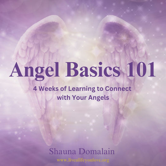 Angel Basics 101